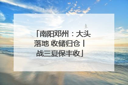 南阳邓州：大头落地 收储归仓丨战三夏保丰收