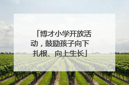 博才小学开放活动，鼓励孩子向下扎根、向上生长