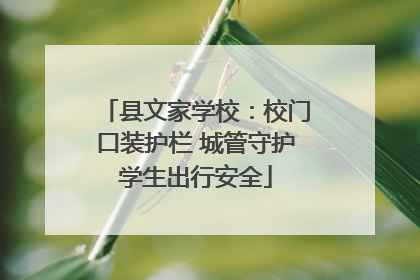 县文家学校：校门口装护栏 城管守护学生出行安全