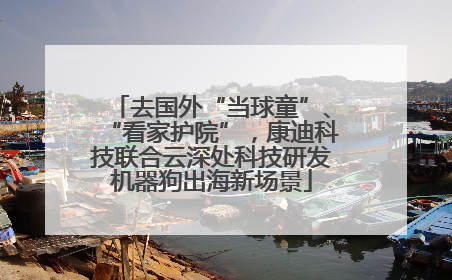 去国外“当球童”、“看家护院”，康迪科技联合云深处科技研发机器狗出海新场景