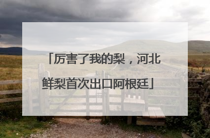 厉害了我的梨，河北鲜梨首次出口阿根廷