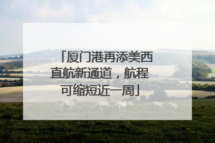厦门港再添美西直航新通道，航程可缩短近一周