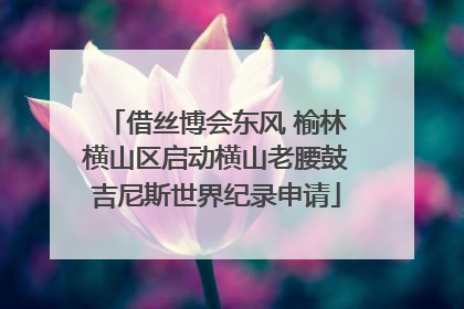 借丝博会东风 榆林横山区启动横山老腰鼓吉尼斯世界纪录申请