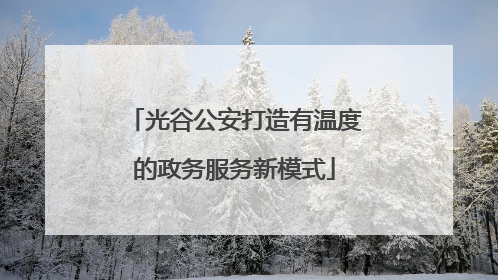 光谷公安打造有温度的政务服务新模式
