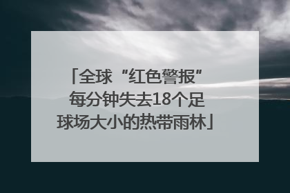 全球“红色警报”  每分钟失去18个足球场大小的热带雨林