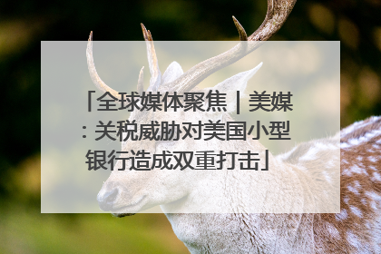 全球媒体聚焦｜美媒：关税威胁对美国小型银行造成双重打击