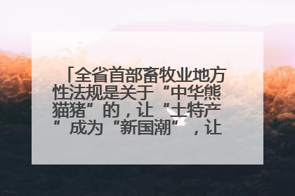 全省首部畜牧业地方性法规是关于“中华熊猫猪”的，让“土特产”成为“新国潮”，让“农产品”升格为“城市IP”