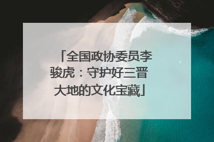全国政协委员李骏虎：守护好三晋大地的文化宝藏