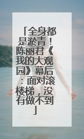 全身都是淤青！陈丽君《我的大观园》幕后：面对滚楼梯，没有做不到