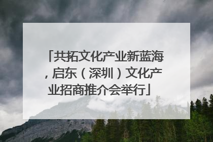 共拓文化产业新蓝海，启东（深圳）文化产业招商推介会举行