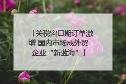 关税窗口期订单激增 国内市场成外贸企业“新蓝海”