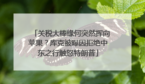 关税大棒缘何突然挥向苹果？库克被曝因拒绝中东之行触怒特朗普