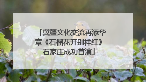 冀疆文化交流再添华章《石榴花开别样红》石家庄成功首演