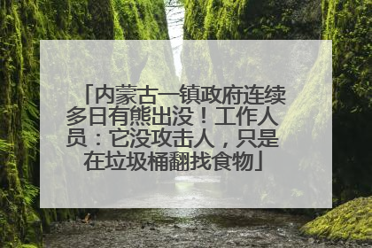 内蒙古一镇政府连续多日有熊出没！工作人员：它没攻击人，只是在垃圾桶翻找食物