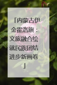 内蒙古伊金霍洛旗：文旅融合绘就民族团结进步新画卷