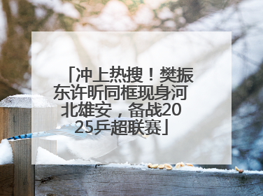 冲上热搜！樊振东许昕同框现身河北雄安，备战2025乒超联赛