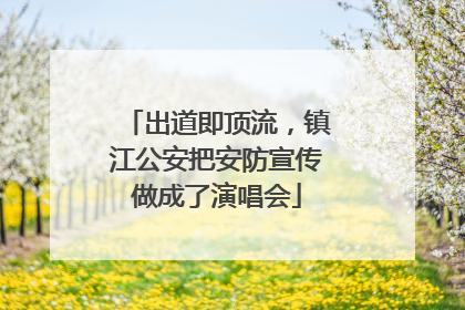 出道即顶流，镇江公安把安防宣传做成了演唱会