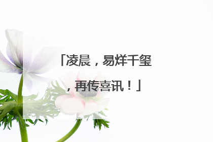 凌晨，易烊千玺，再传喜讯！