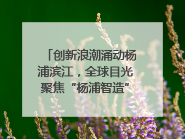 创新浪潮涌动杨浦滨江，全球目光聚焦“杨浦智造”｜相约复兴岛