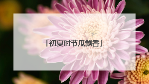 初夏时节瓜飘香