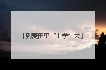 到麦田里“上学”去