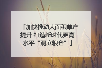 加快推动大面积单产提升 打造新时代更高水平“洞庭粮仓”