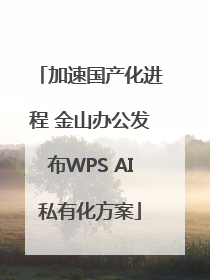 加速国产化进程 金山办公发布WPS AI私有化方案