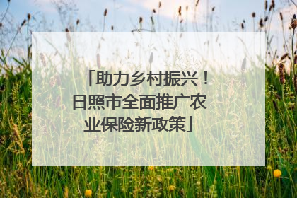 助力乡村振兴！日照市全面推广农业保险新政策