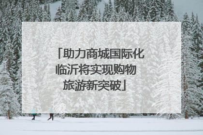 助力商城国际化 临沂将实现购物旅游新突破