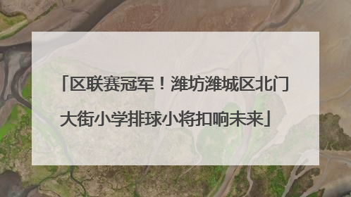区联赛冠军！潍坊潍城区北门大街小学排球小将扣响未来