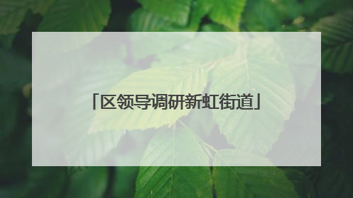 区领导调研新虹街道