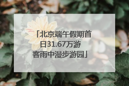 北京端午假期首日31.67万游客雨中漫步游园