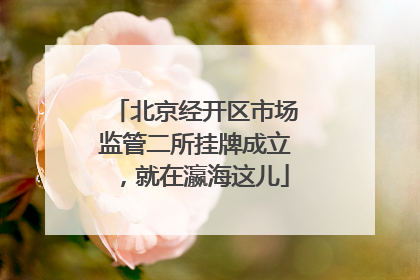 北京经开区市场监管二所挂牌成立，就在瀛海这儿