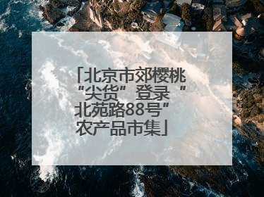 北京市郊樱桃“尖货”登录“北苑路88号”农产品市集