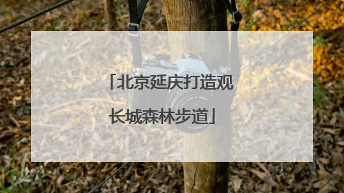 北京延庆打造观长城森林步道