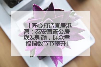 匠心打造宜居港湾：泰安直管公房焕发新颜，群众幸福指数节节攀升