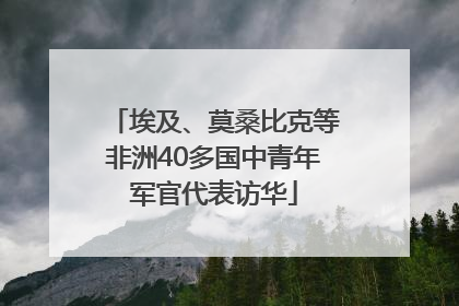 埃及、莫桑比克等非洲40多国中青年军官代表访华