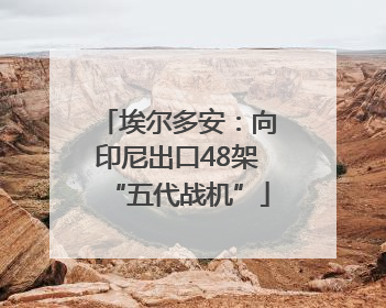 埃尔多安：向印尼出口48架“五代战机”