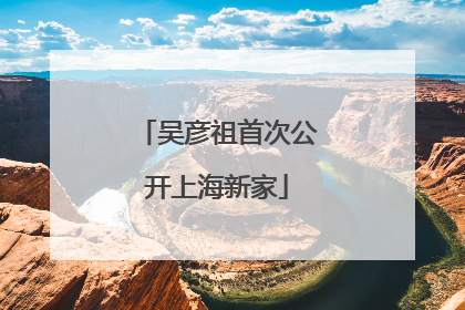 吴彦祖首次公开上海新家