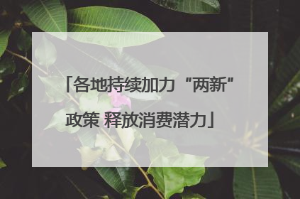 各地持续加力“两新”政策 释放消费潜力