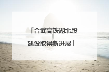 合武高铁湖北段建设取得新进展