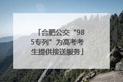 合肥公交“985专列”为高考考生提供接送服务