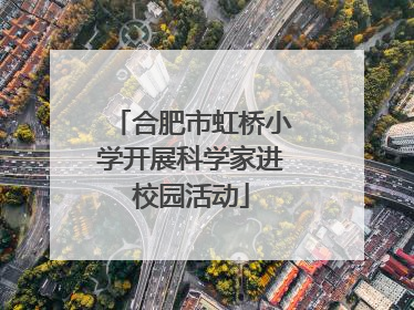 合肥市虹桥小学开展科学家进校园活动