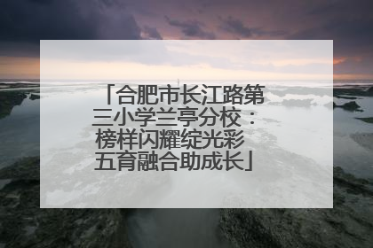 合肥市长江路第三小学兰亭分校：榜样闪耀绽光彩 五育融合助成长