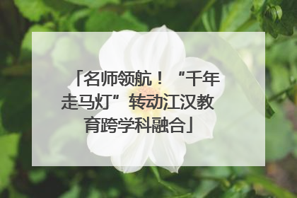 名师领航！“千年走马灯”转动江汉教育跨学科融合