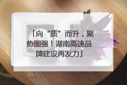 向“质”而升，聚势图强！湖南高速品牌建设再发力