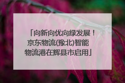 向新向优向绿发展！京东物流(豫北)智能物流港在辉县市启用