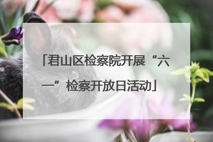 君山区检察院开展“六一”检察开放日活动