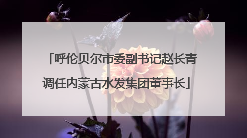 呼伦贝尔市委副书记赵长青调任内蒙古水发集团董事长