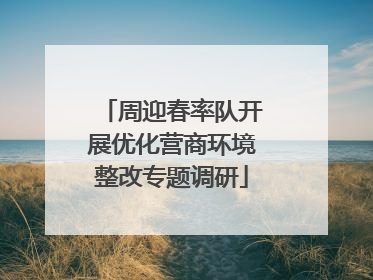 周迎春率队开展优化营商环境整改专题调研